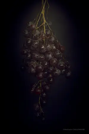 grappe raisin vin