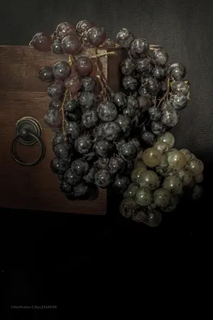 raisin grappe vin