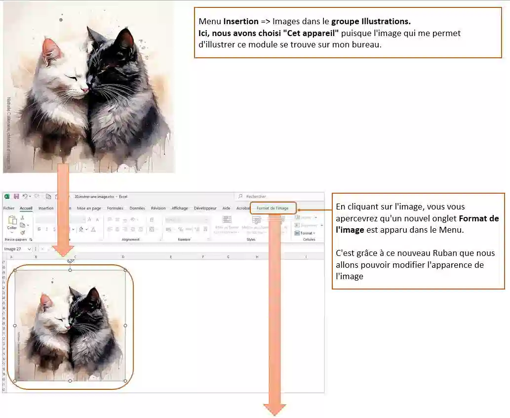 Insertion et modification images excel