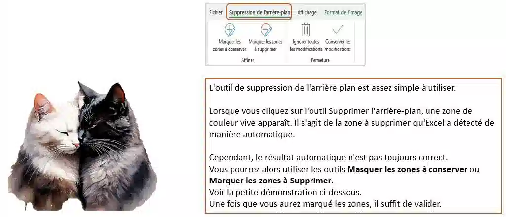 Insertion et modification images excel