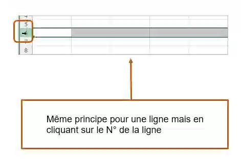 comment gérer les lignes et les colonnes excel