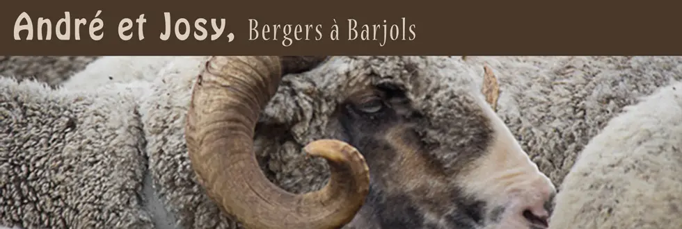 bergers barjols