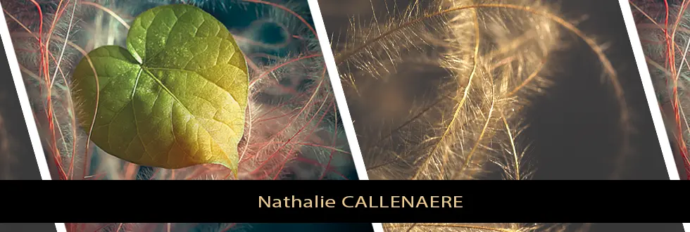 Nathalie Callenaere