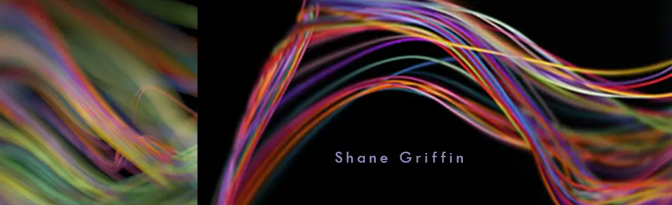 shane griffin