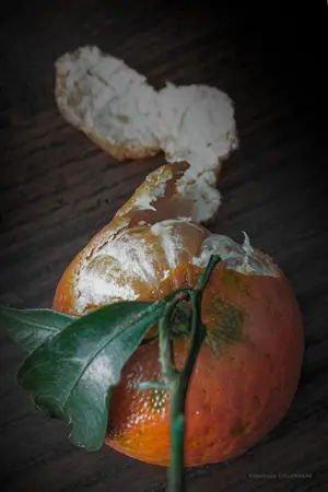 clementine agrume fruit