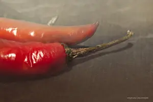 piment cayenne capsicum