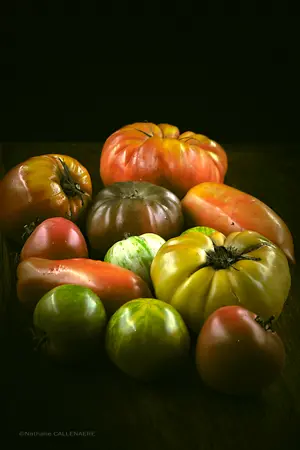 Tomates