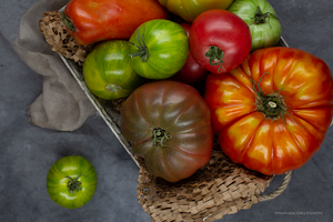 Tomates coeur de boeuf