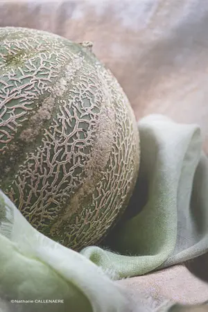 Melon