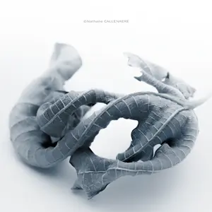 Abstrait