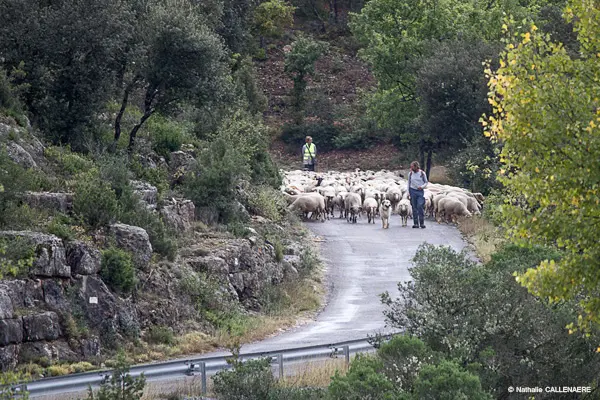 André et Josy, Bergers à Barjols