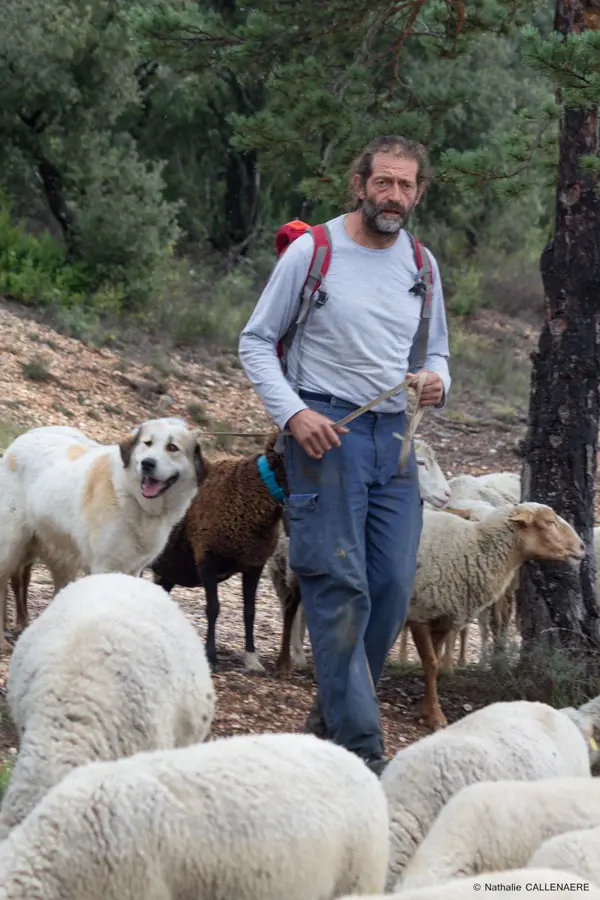 André et Josy, Bergers à Barjols