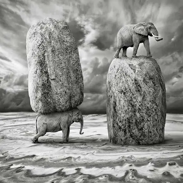 Dariusz Klimczak