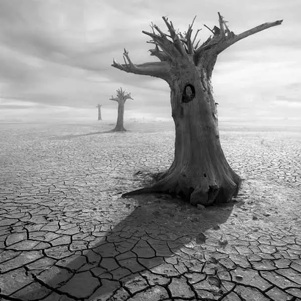 Dariusz Klimczak