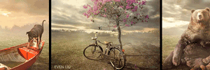 Image Lightbox