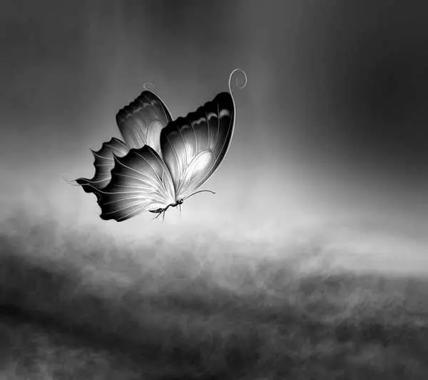 Josep Sumalla