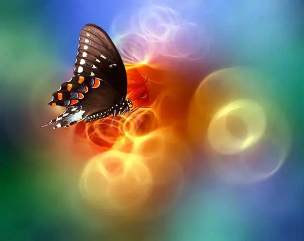 Josep Sumalla