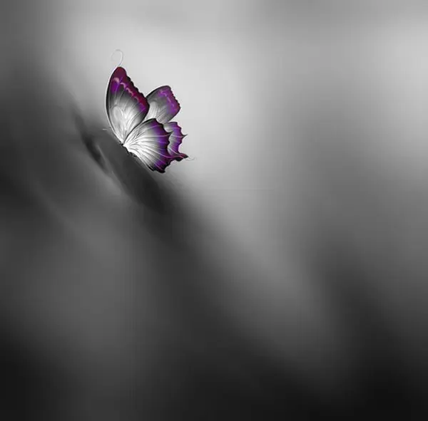 Josep Sumalla