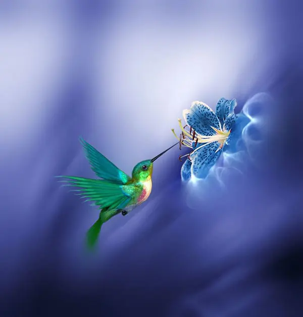 Josep Sumalla