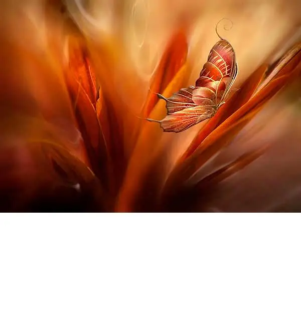 Josep Sumalla