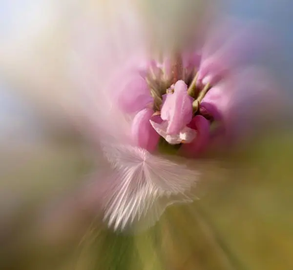 Josep Sumalla