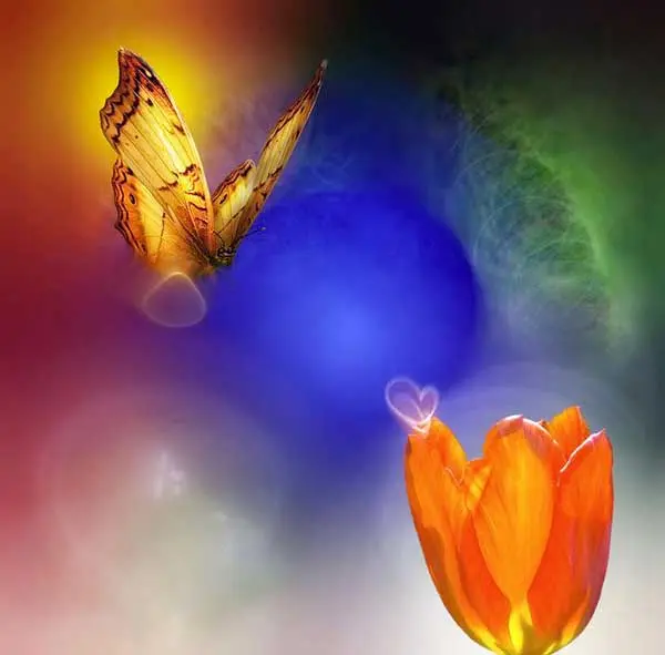 Josep Sumalla