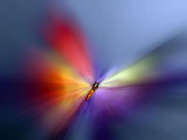 Josep Sumalla