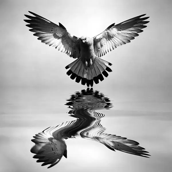 Josep Sumalla