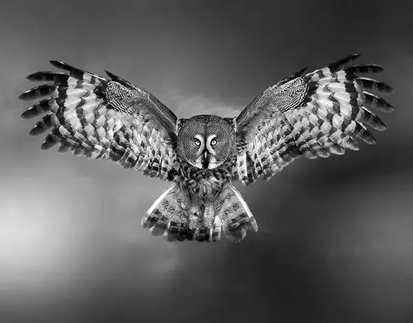 Josep Sumalla