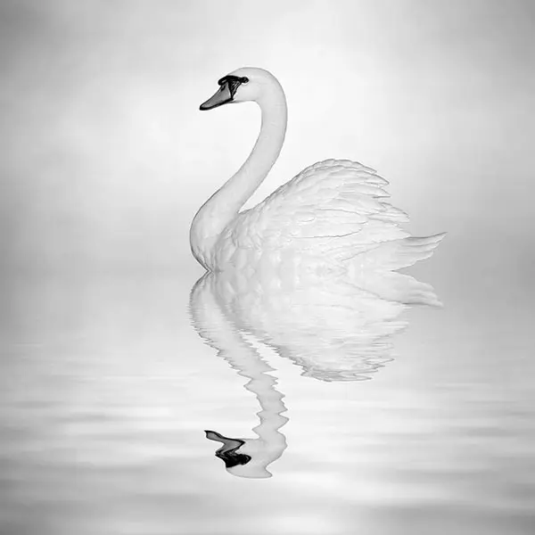 Josep Sumalla