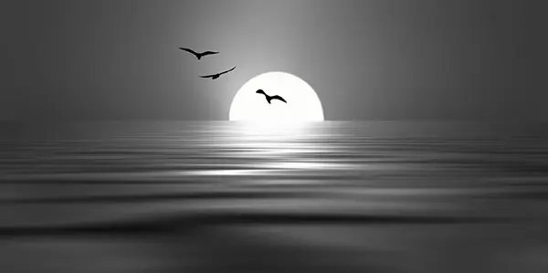 Josep Sumalla