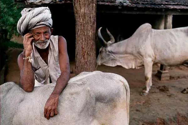 Steve Mc Curry