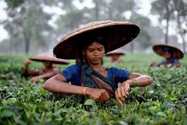 Steve Mc Curry