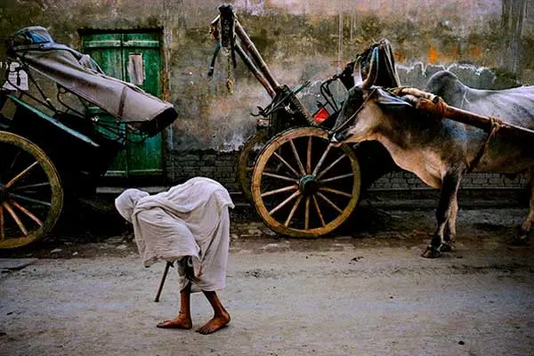 Steve Mc Curry