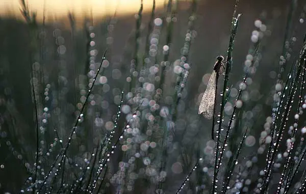 Vadim Trunov