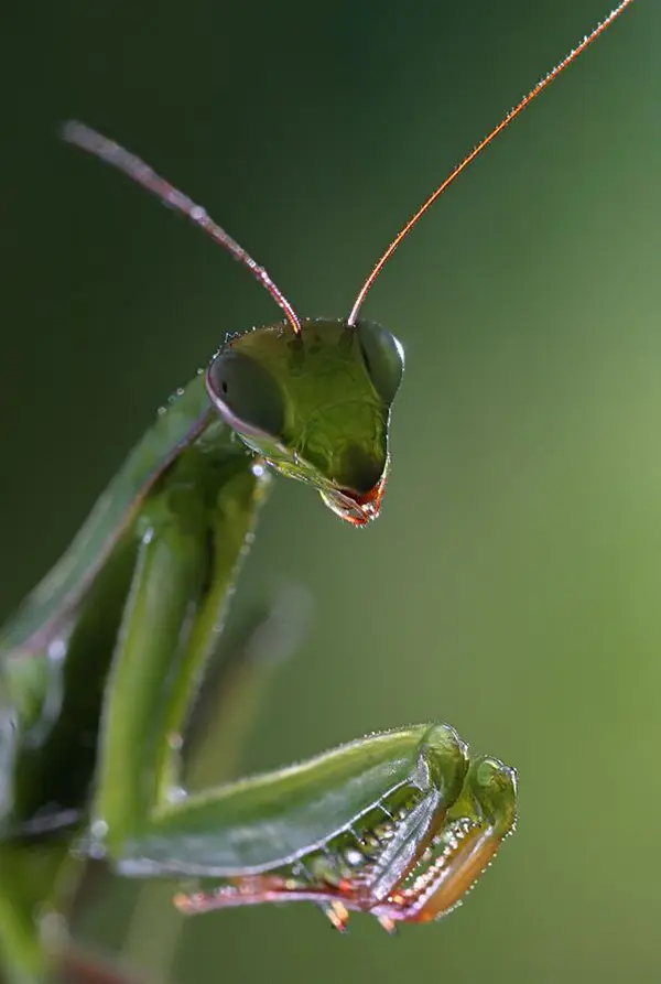 Vadim Trunov