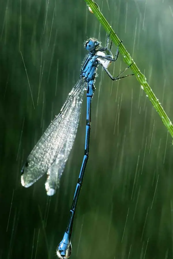 Vadim Trunov