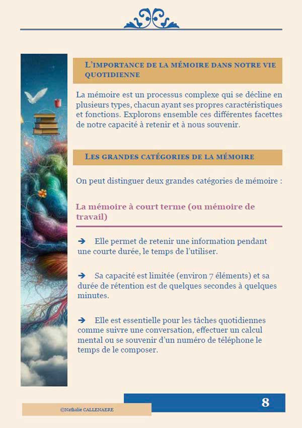 Ebook memoire